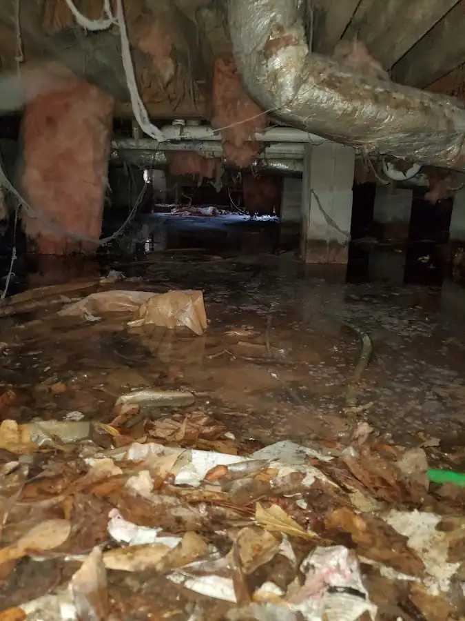 Crawl space flood assessment for Leak Detection & Repair in Elwood
