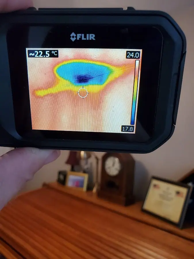 Thermal imaging inspection for water damage in Elwood