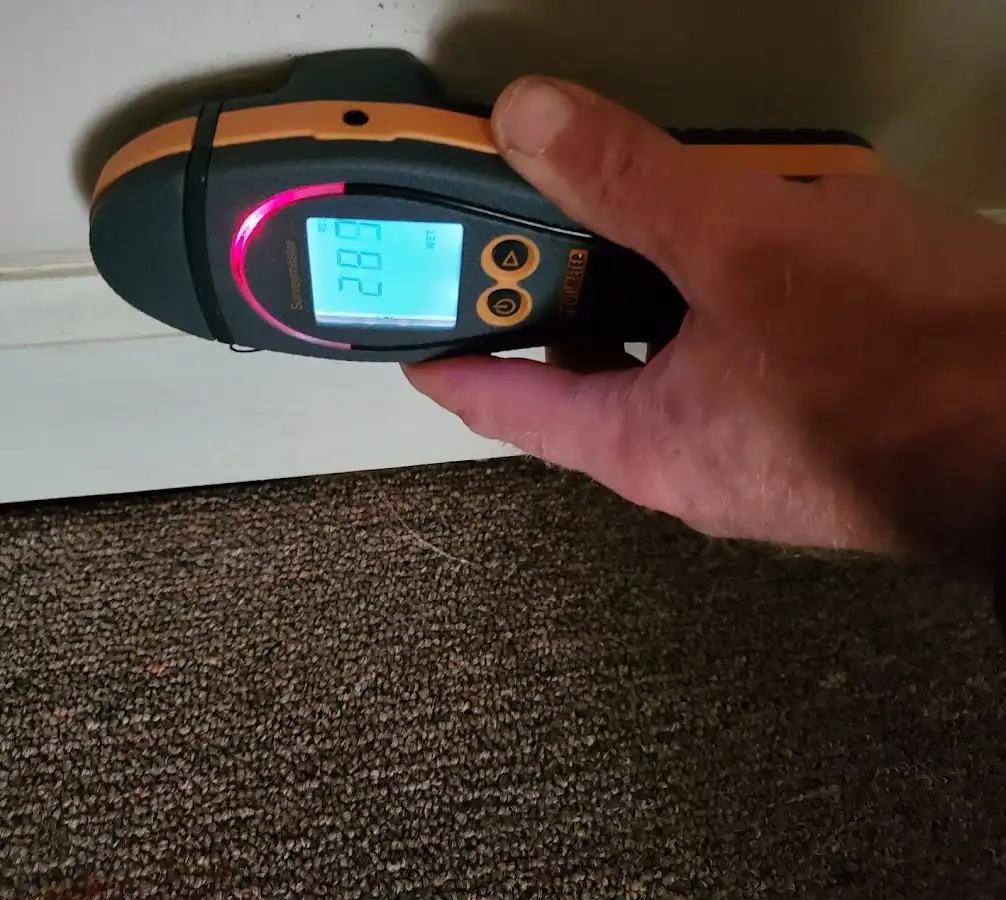 Moisture detection at baseboard during Sewage Cleanup & Sanitation in Elwood